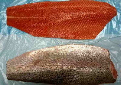 STEELHEAD TROUT / SALMON TROUT - PYRENAQUA FISH & SEAFOOD